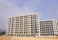 首月租金立減10%，黃江星光村工業園內52間精裝宿舍公寓業主對外出租